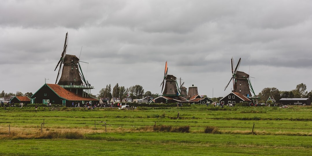 dutch polder landscape with windmills