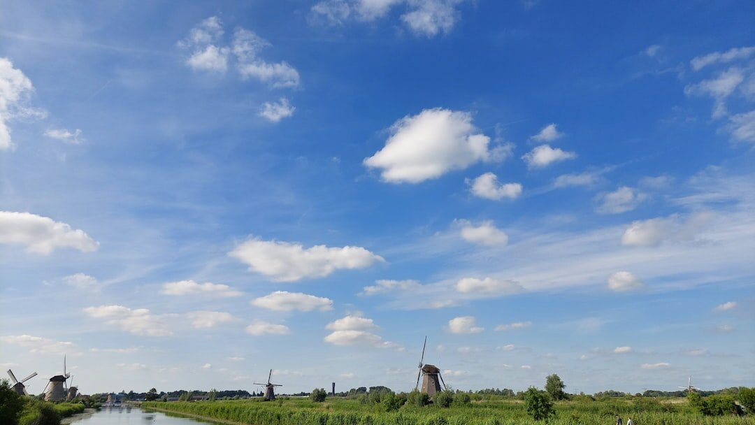 dutch polder landscape with windmills