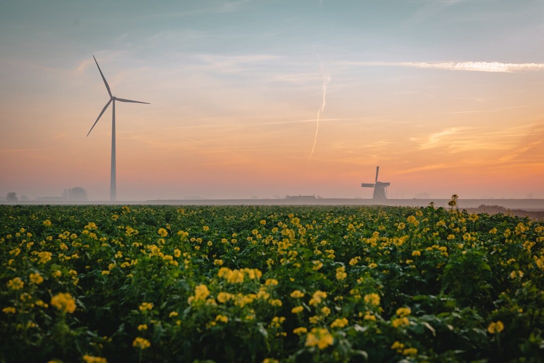 windmill at sunset in holland