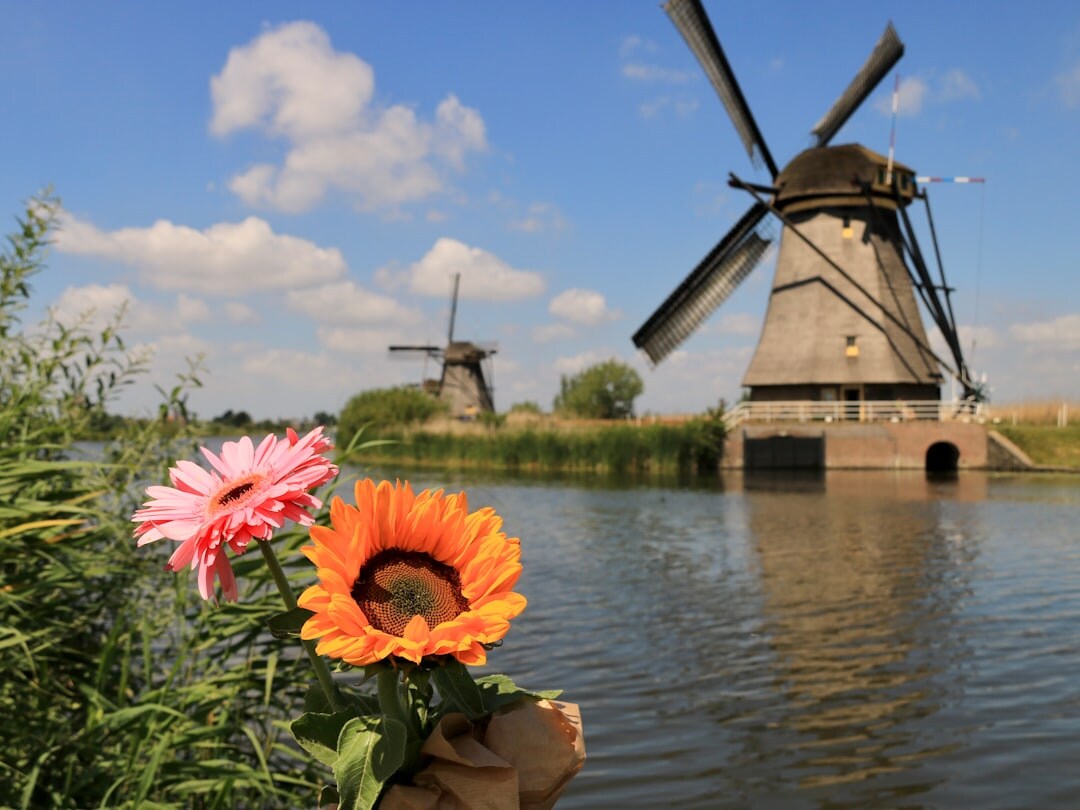 windmills netherlands
